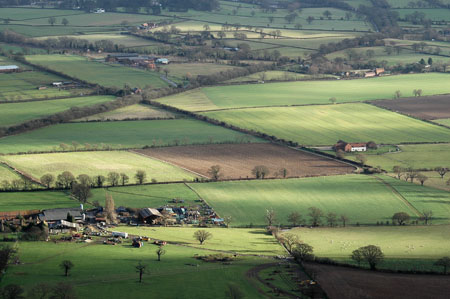 MalvernPatchworkFields