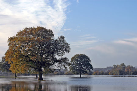 RiverSevernInFlood5